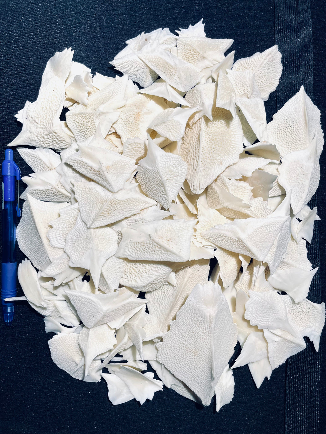 Bulk Pieces (1 lb)