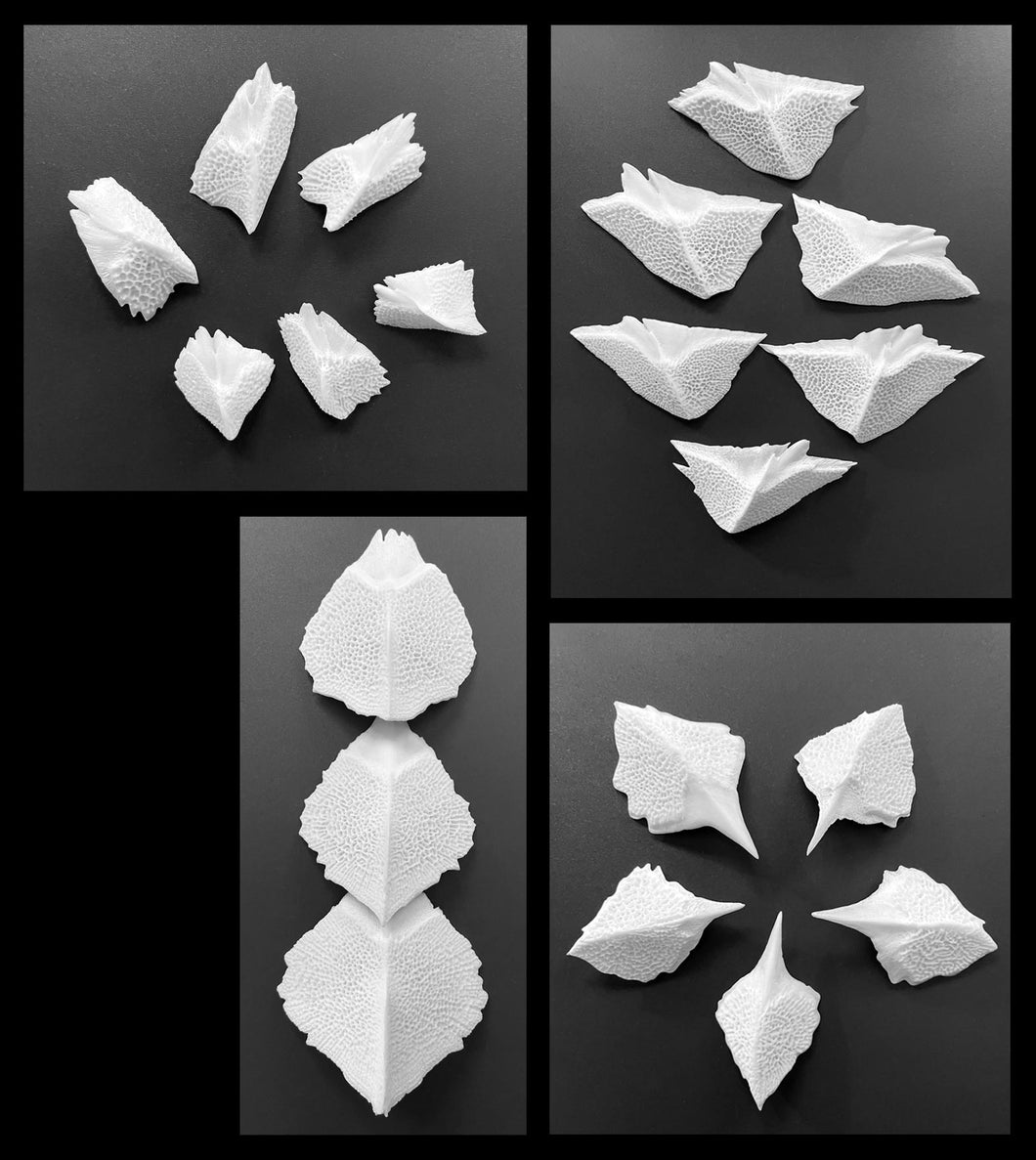 Sélection spéciale du temps des Fêtes – Ivoire québécois